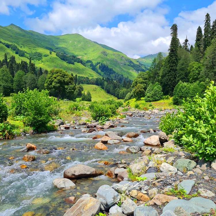 Вардане экскурсии в Абхазию фото и описание