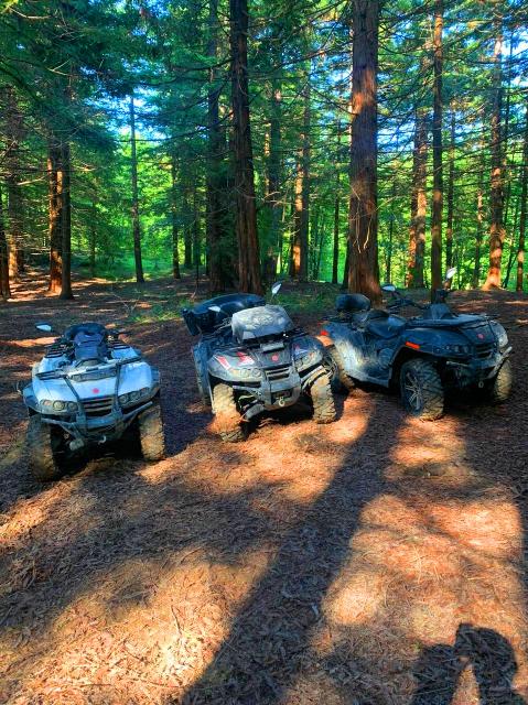 Поездка на квадроцикле в Лоо, аренда и стоимость