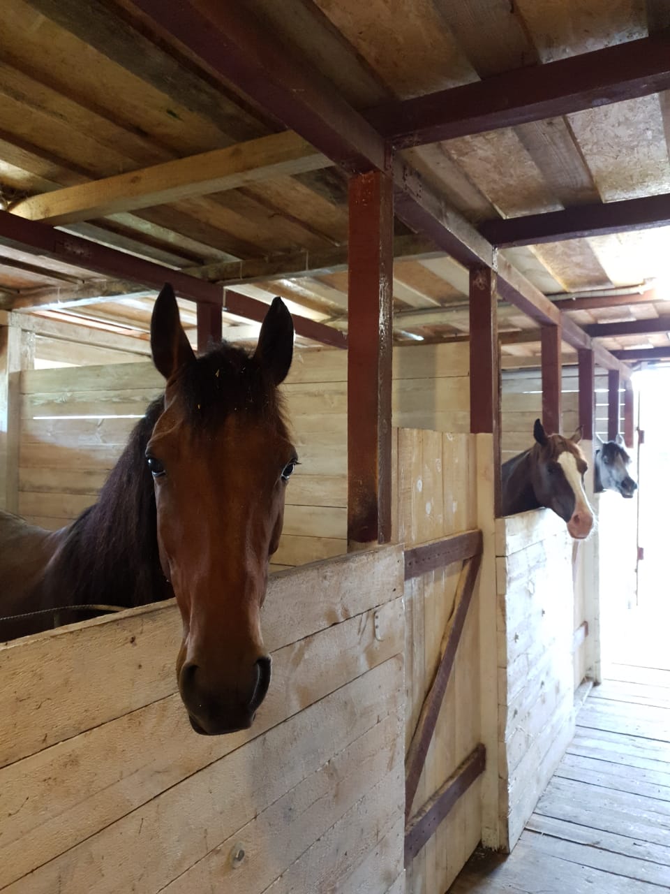 Экскурсия из Вардане для всей семьи